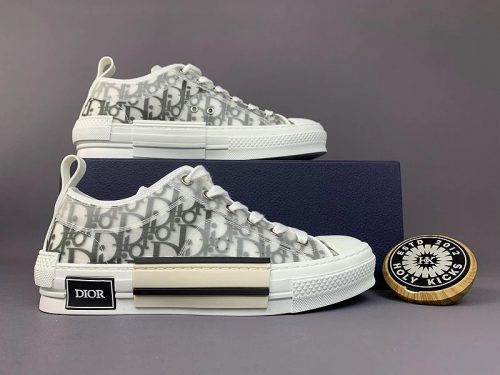 Dior B23 Low Top Sneakers Oblique Canvas White