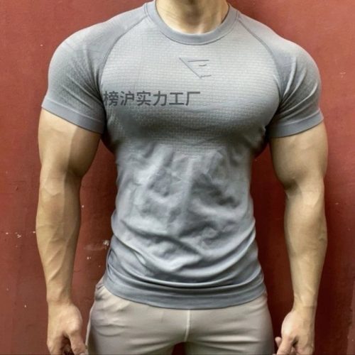 Gymshark Vital Seamless 2.0 Slim Fit T-Shirt Gray