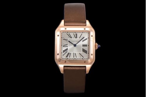 Cartier Santos-Dumont Luxury Watch Brown