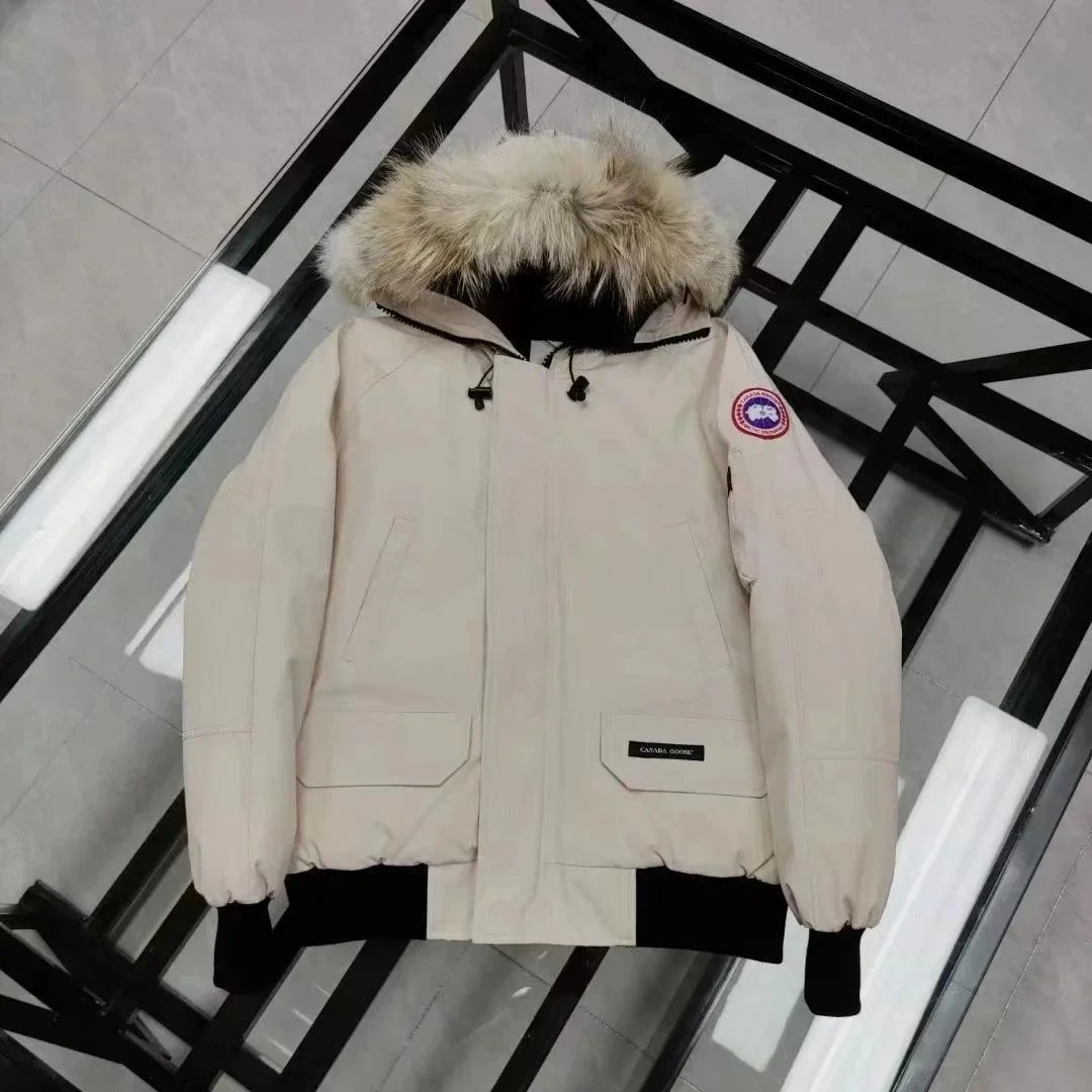 36 36