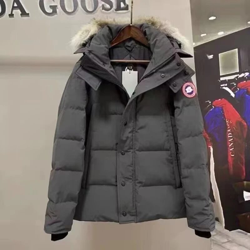 29灰色红标毛领 29灰色红标毛领
