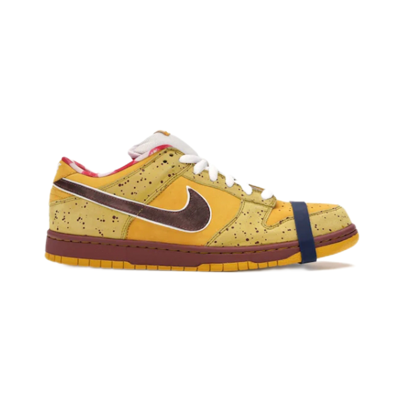 313170-137566 313170-137566