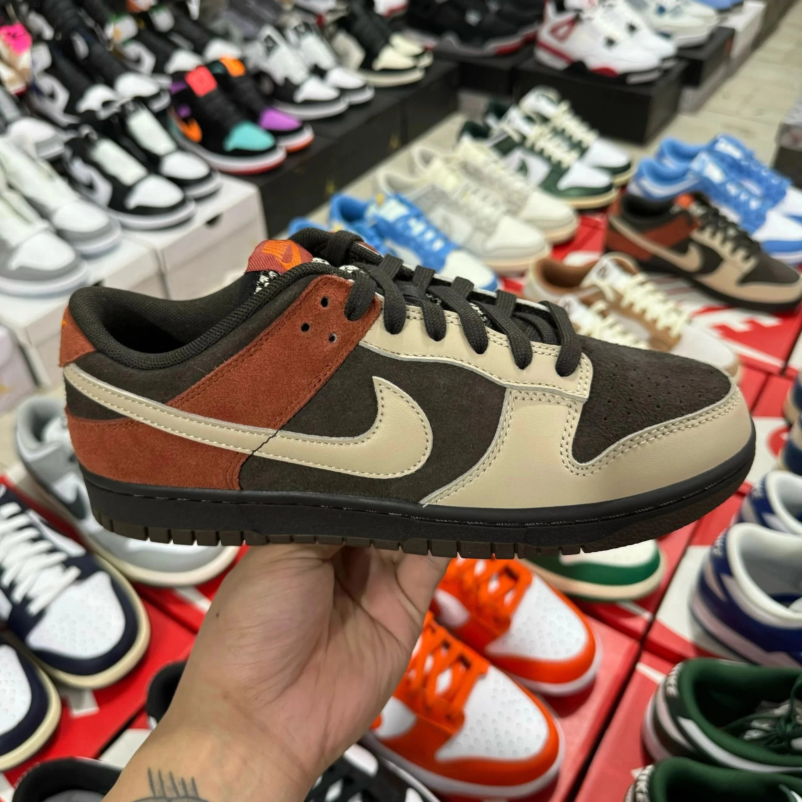 棕黑小熊猫 棕黑小熊猫