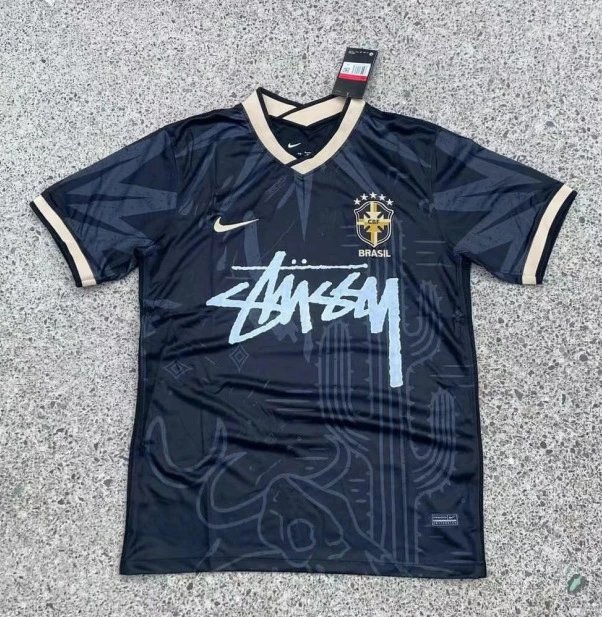 斯图西款巴西仙人掌 斯图西款巴西仙人掌