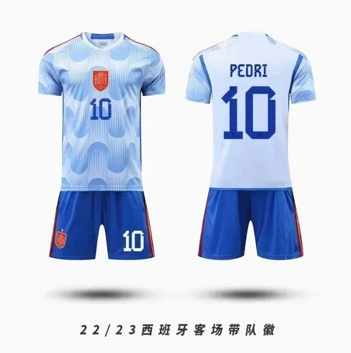 19罗德里