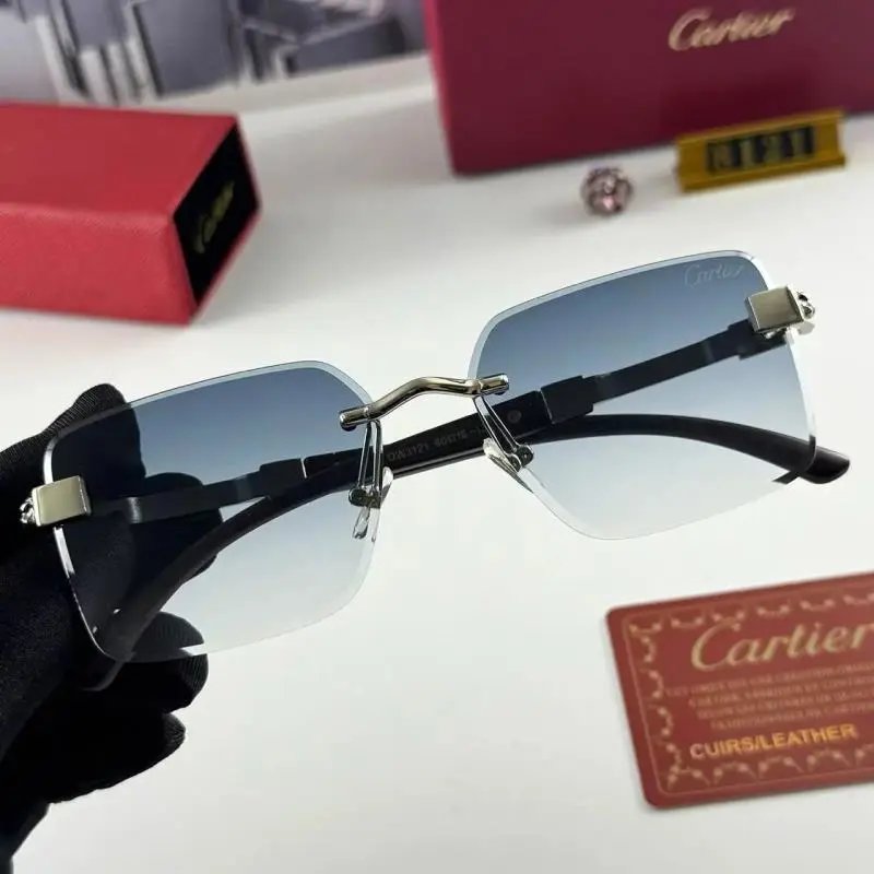 Cartier -10 Cartier -10