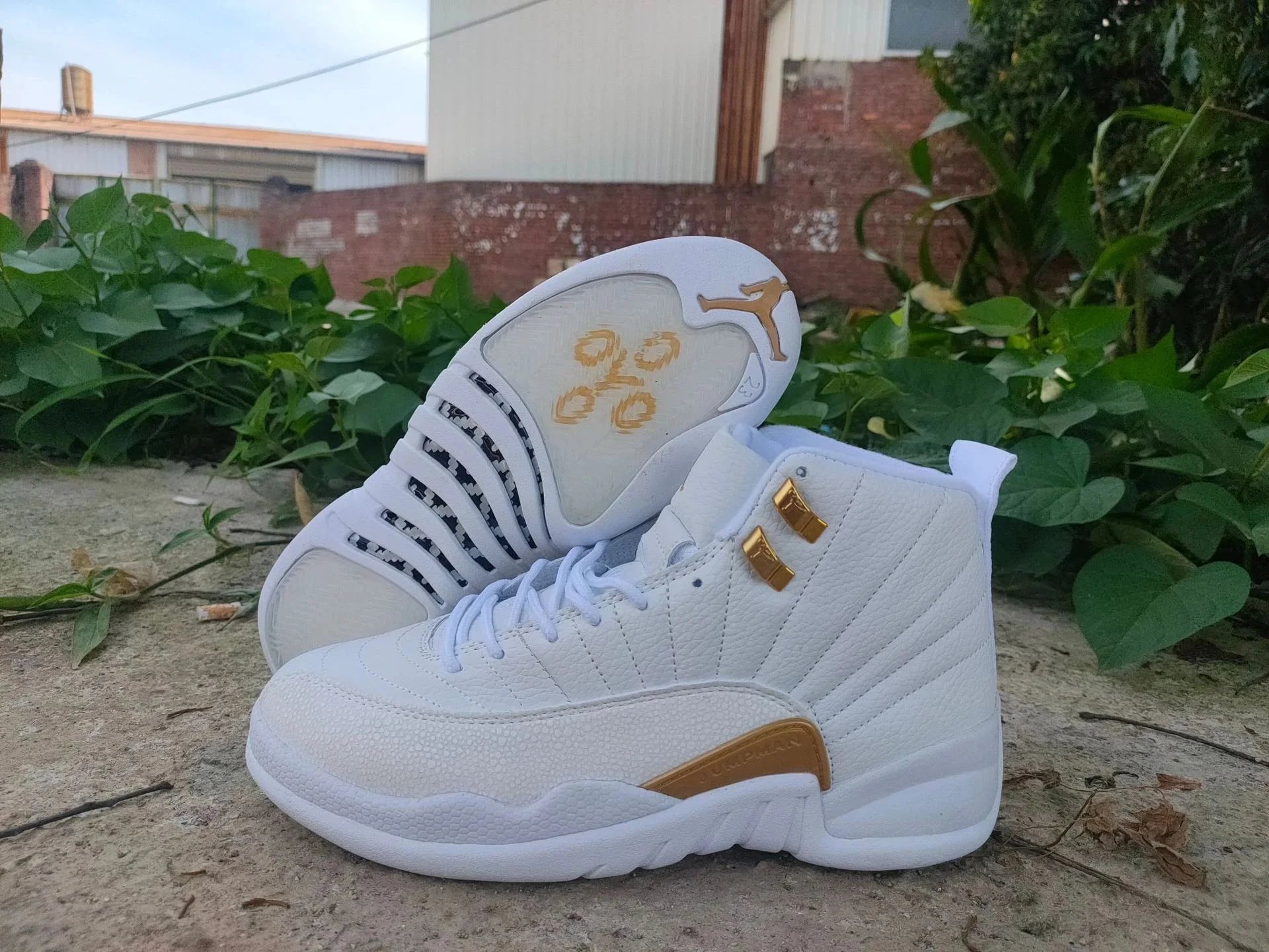 aj12-白金