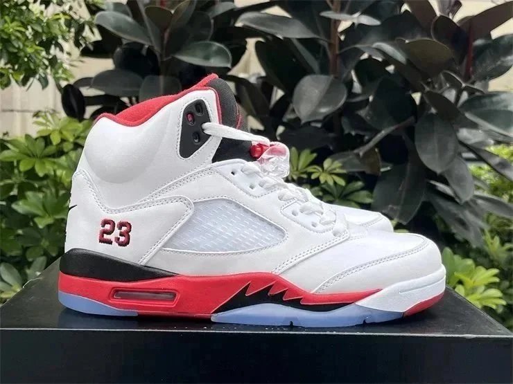 26