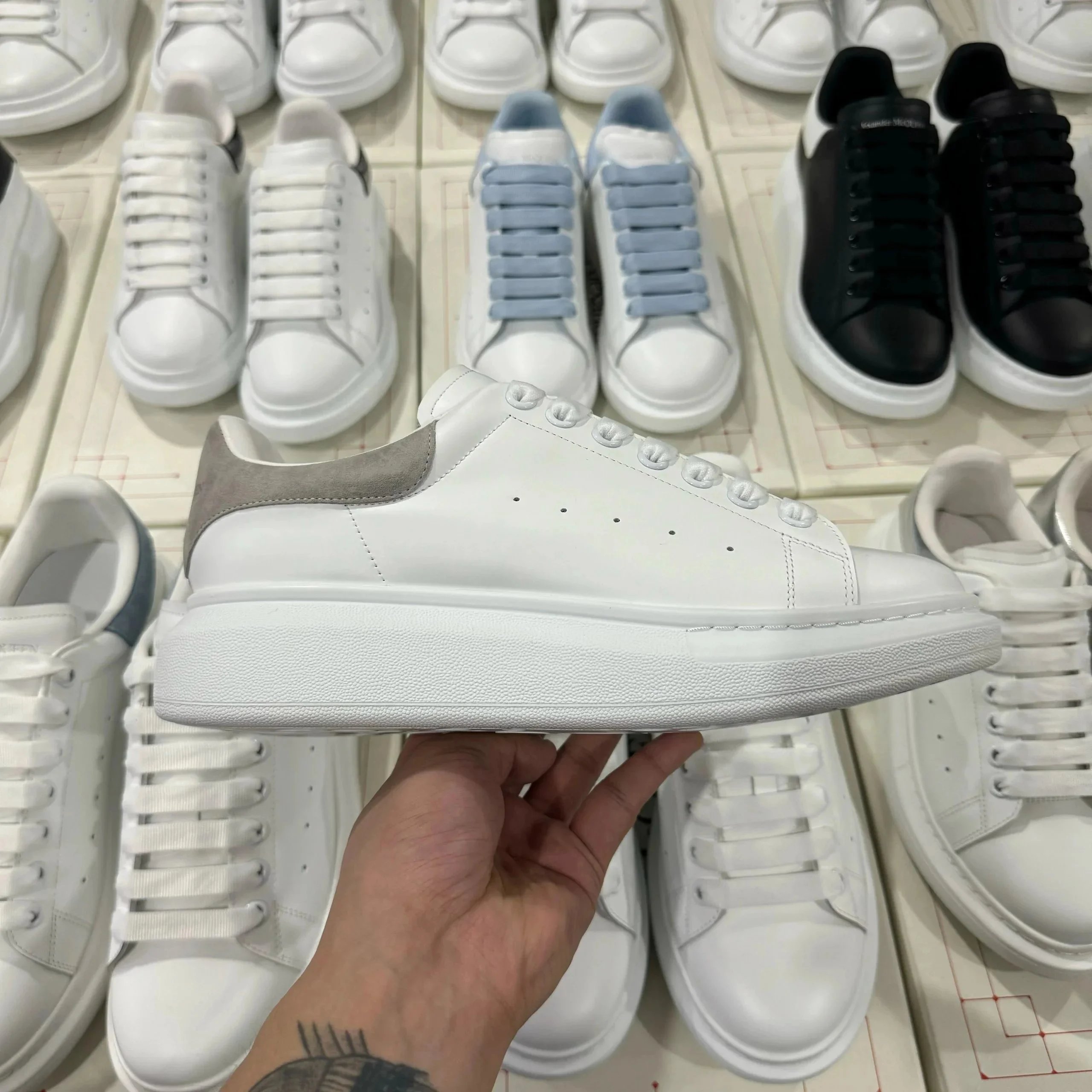 白灰绒尾