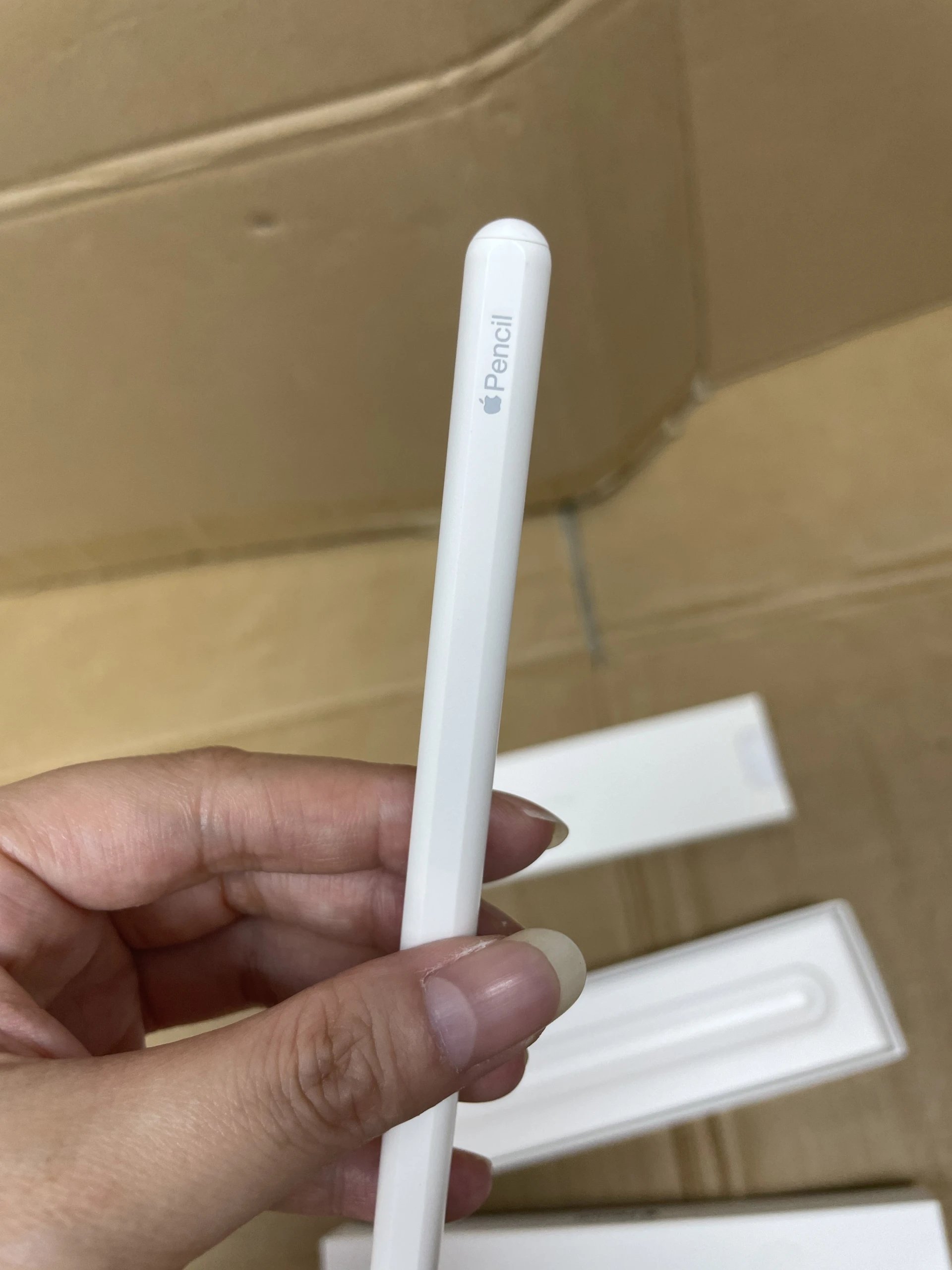 pencil2nd pencil2nd