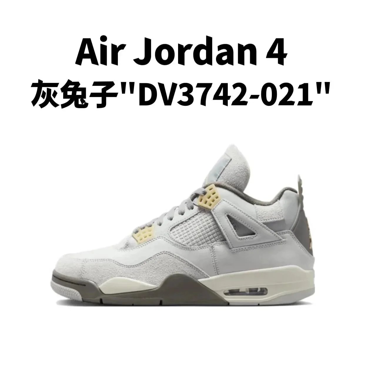 8.灰兔子 8.灰兔子