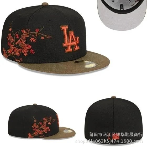 6 6