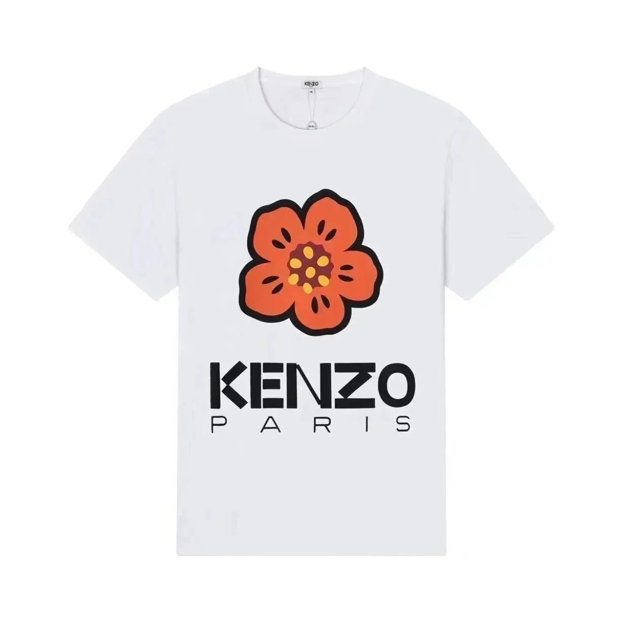 31 31