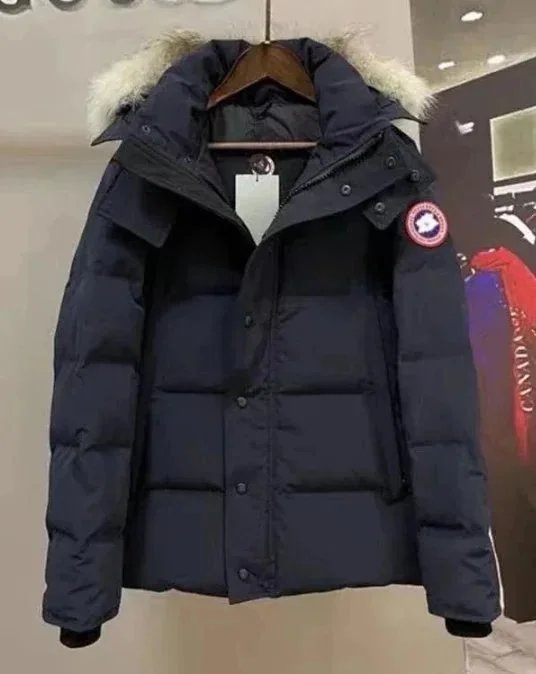 大鹅3 大鹅3