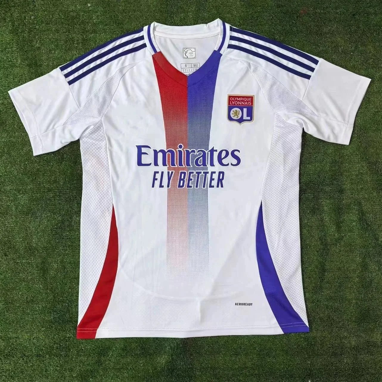 24-25里昂主场 24-25里昂主场