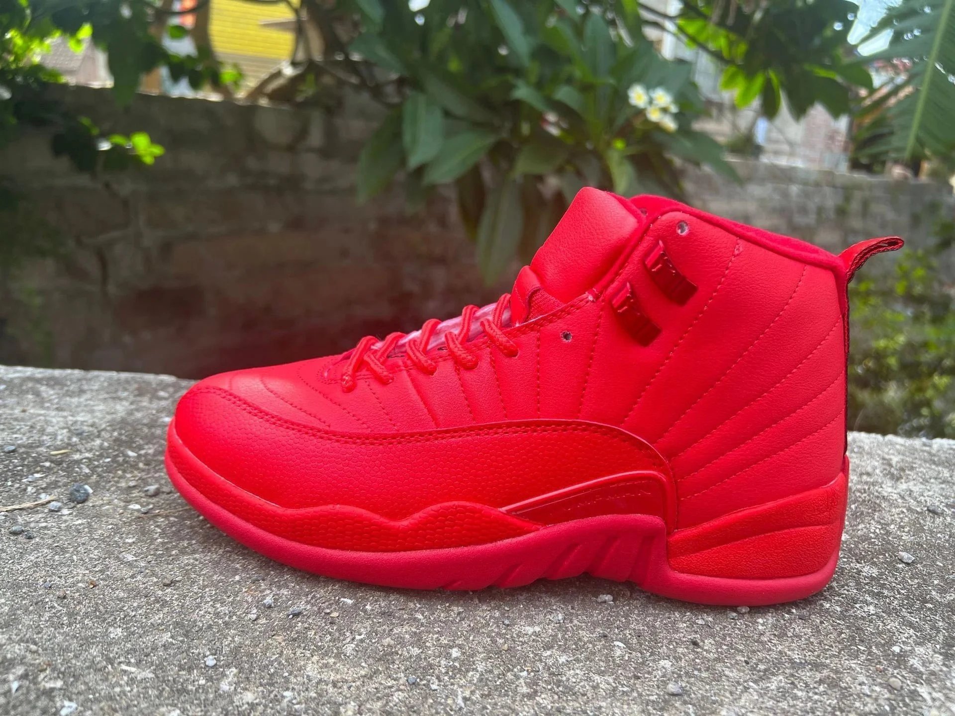 AJ12-全红 AJ12-全红