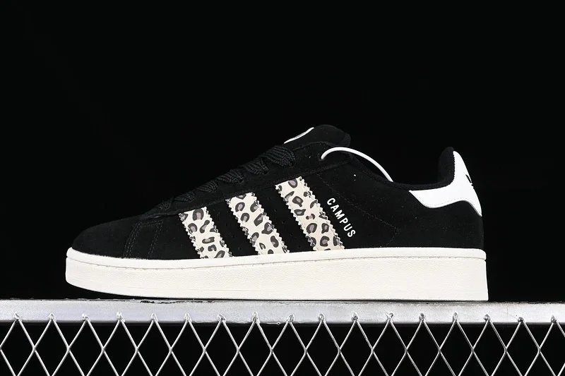 26 26