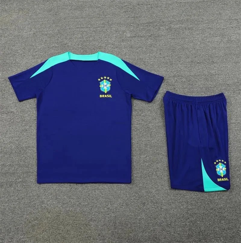 24-25巴西 24-25巴西