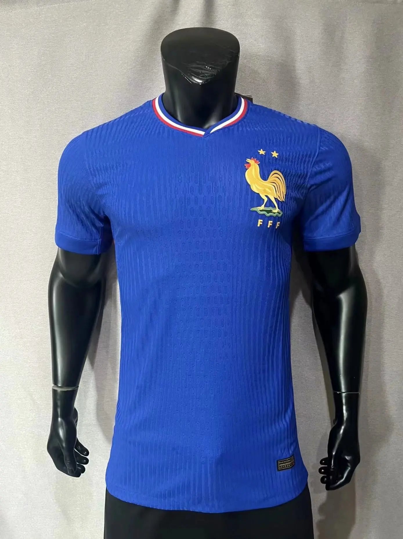 2024法国主 2024法国主