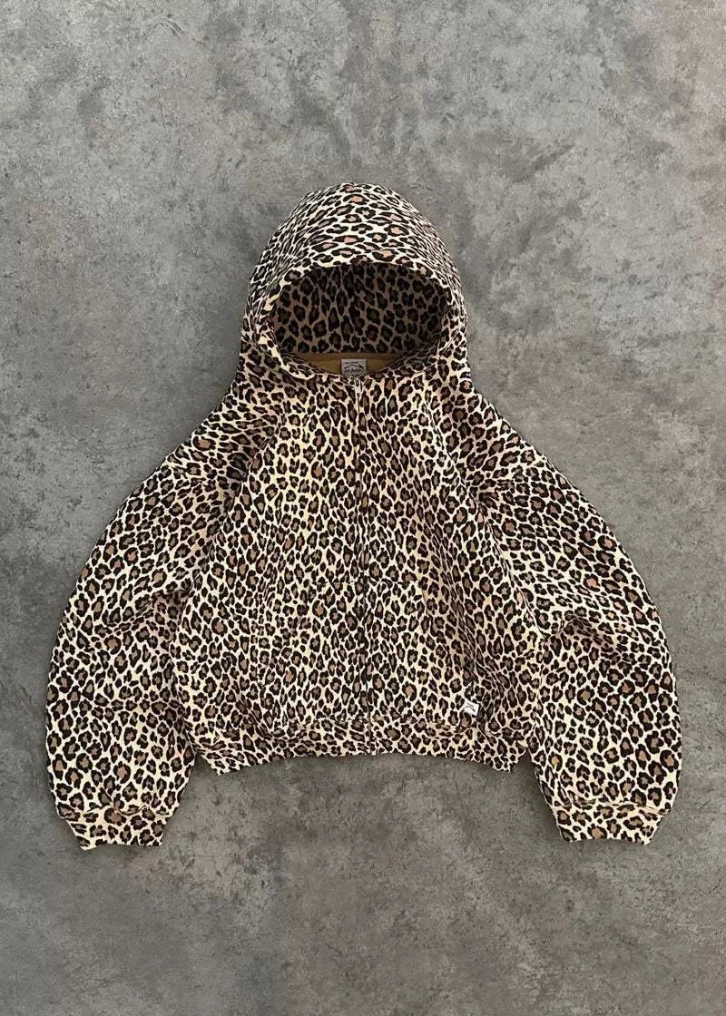 26 26