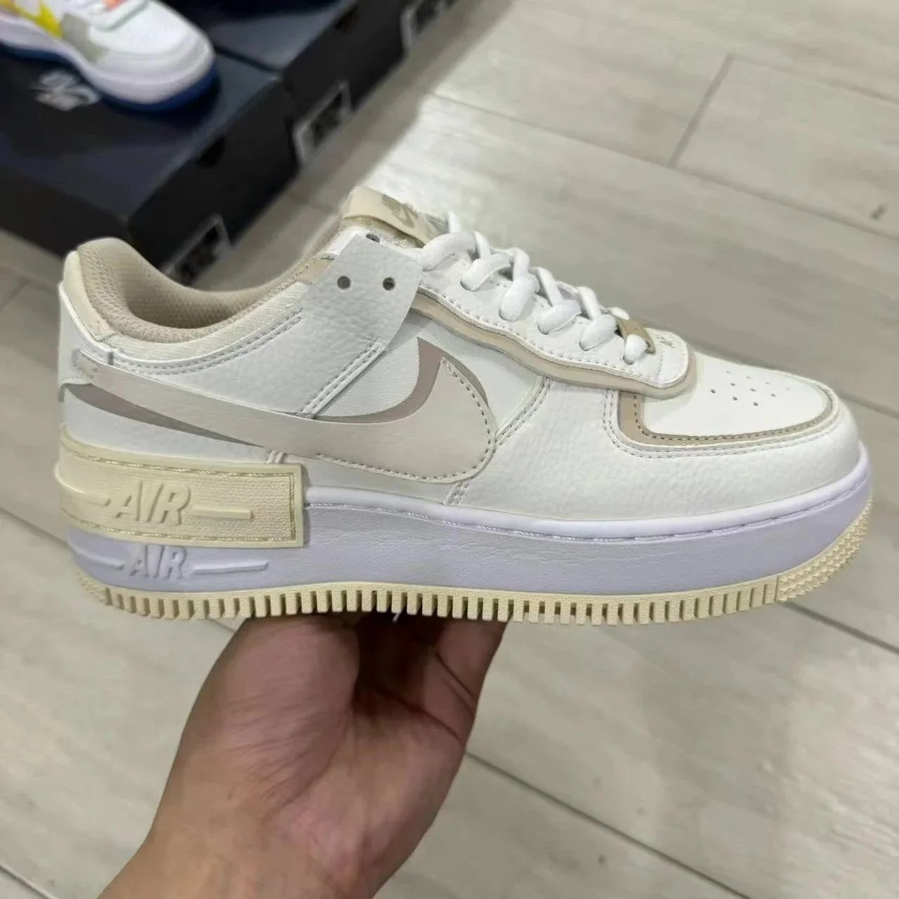 白棕 白棕